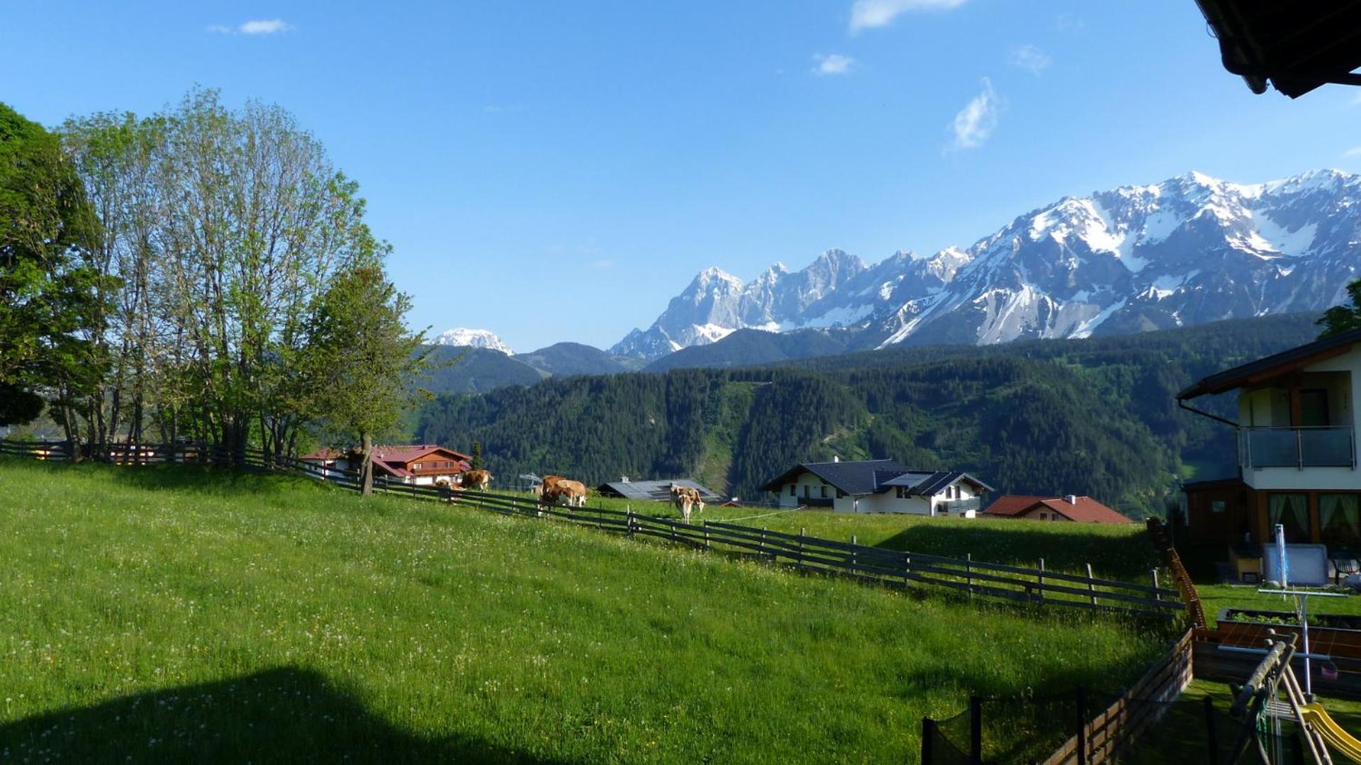 Apartment Haus Panorama *