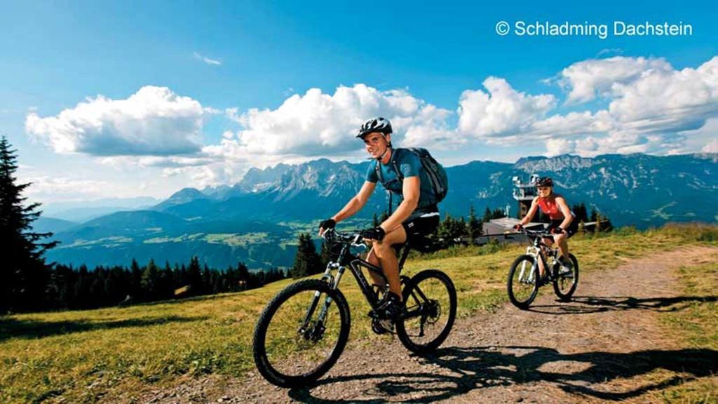 Apartment Haus Panorama Schladming